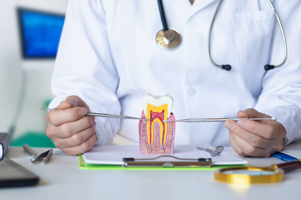 Best Broken or Cracked Tooth Emergency Dentist in Oskaloosa, IA